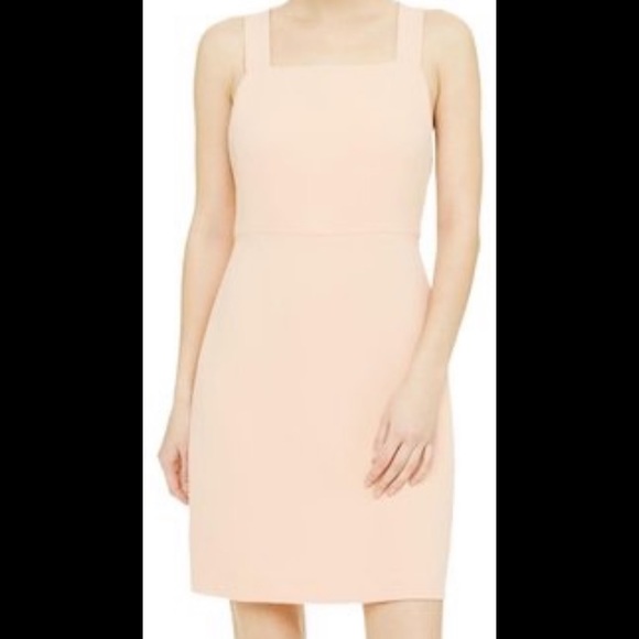 Club Monaco Peach Fuzz Mini dress with bow details - Picture 2 of 14